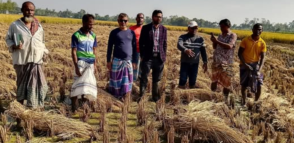রংপুরে প্লাবিত এলাকা পরিদর্শন করলেন কৃষি কর্মকর্তা