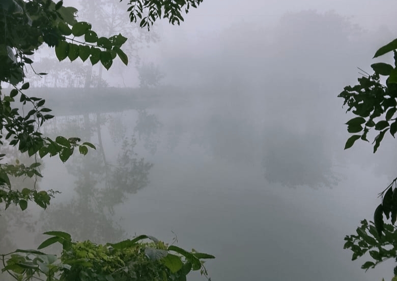 Nuclear Fusion Closer to Becoming a Reality6