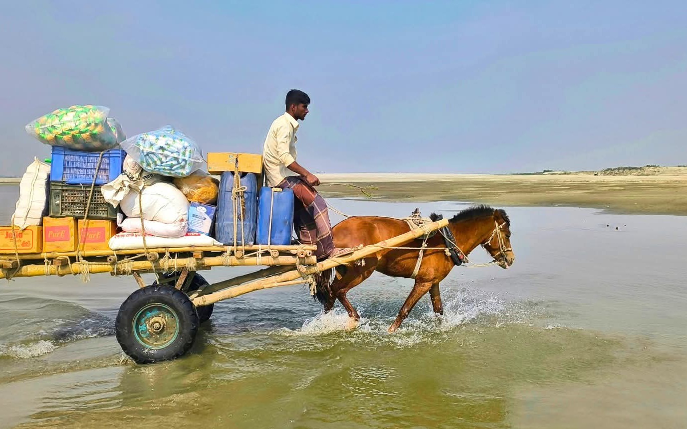 কালের বিবর্তনে হারিয়ে গেলেও গাইবান্ধার চরাঞ্চলে এখনো চলাচলের একমাত্র বাহন ঘোড়ার গাড়ি