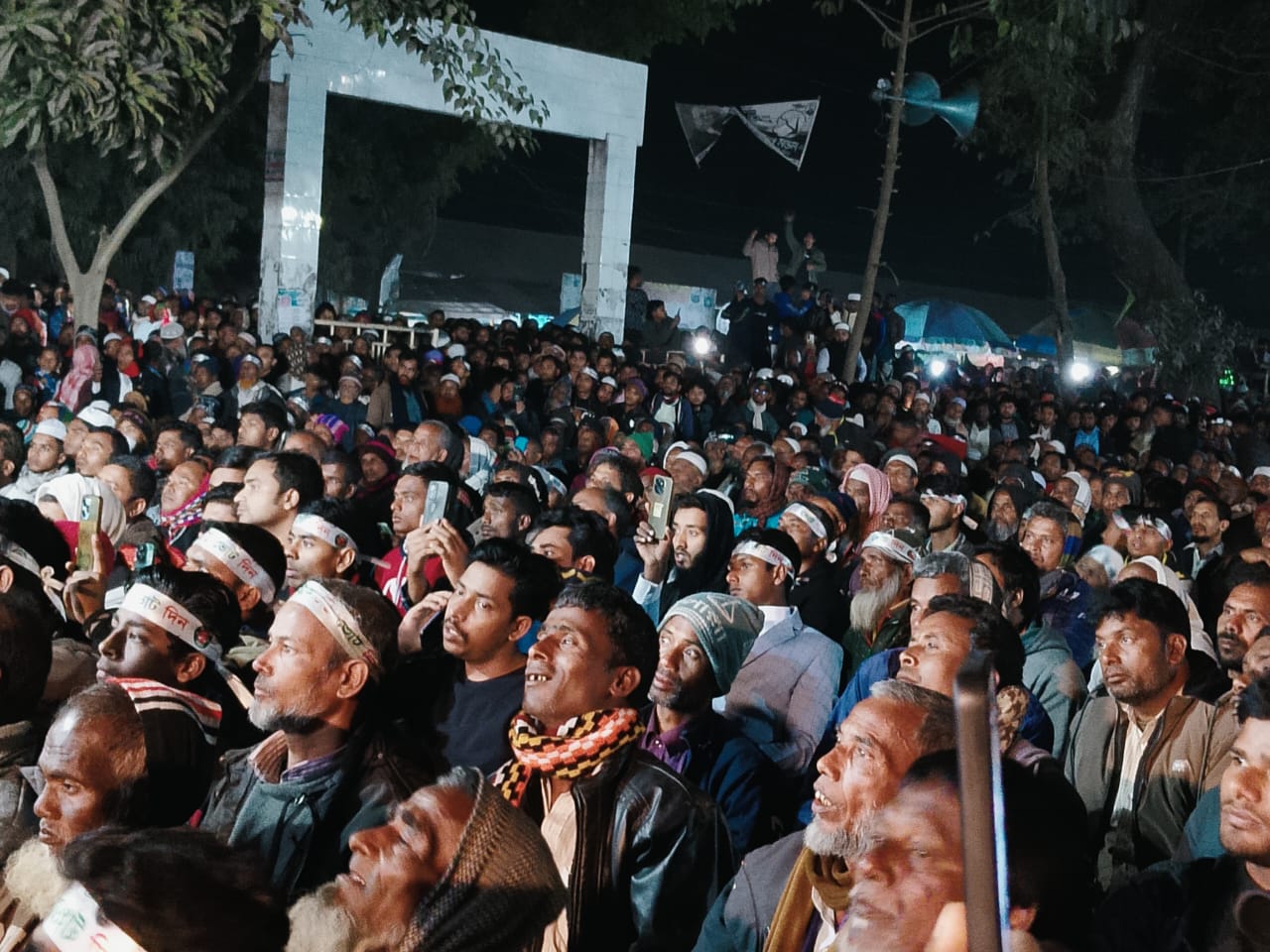 Potato export image showing many potatoes