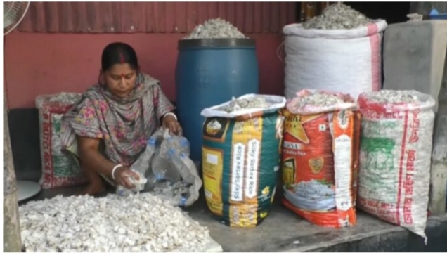 কুড়িগ্রামে মাছের উচ্ছিষ্ট আঁশ বিদেশে রপ্তানী হচ্ছে