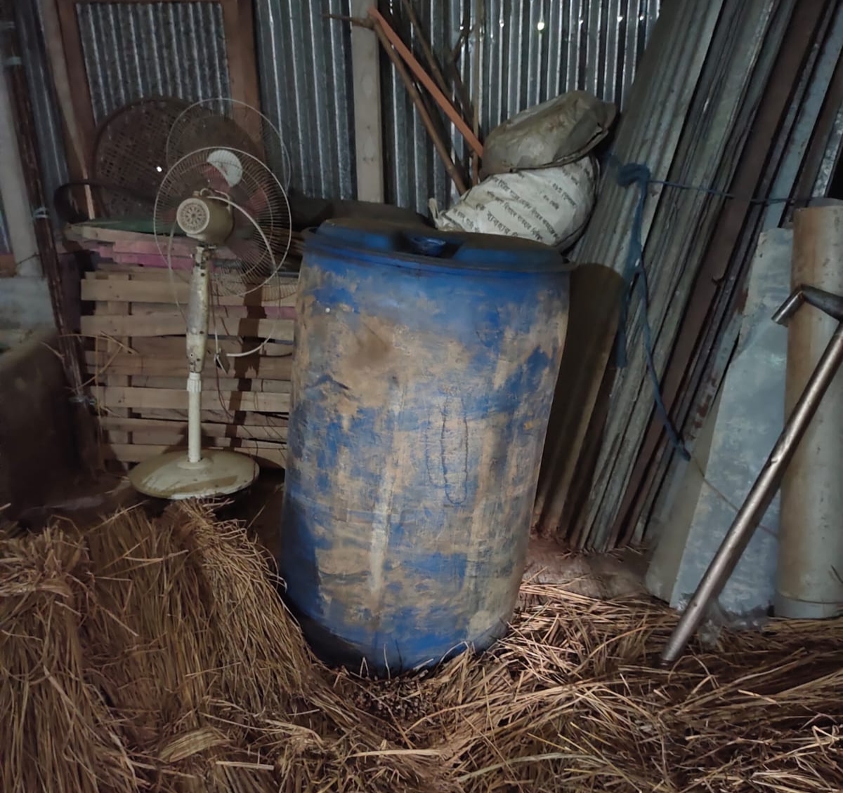 বাবা বিএনপি, ছেলে যুবলীগ নেতা, গোয়াল ঘরে মিললো ড্রাম ভর্তি পেট্রোল