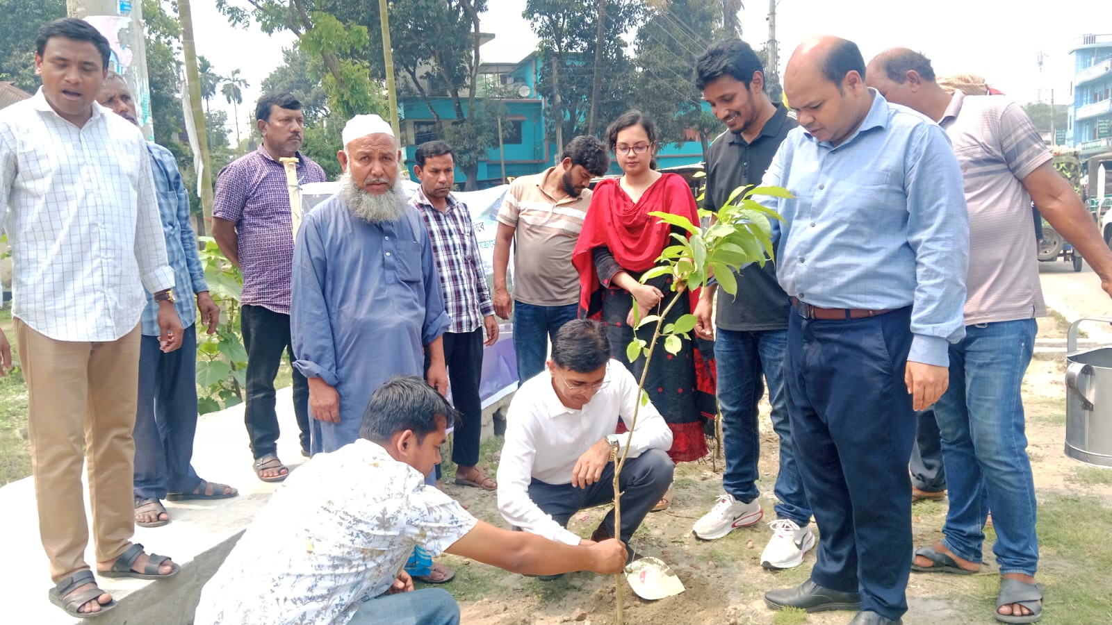 নির্বাচনী অঙ্গীকার বাস্তবায়নে নীলফামারীতে বৃক্ষরোপণ কর্মসূচি শুরু