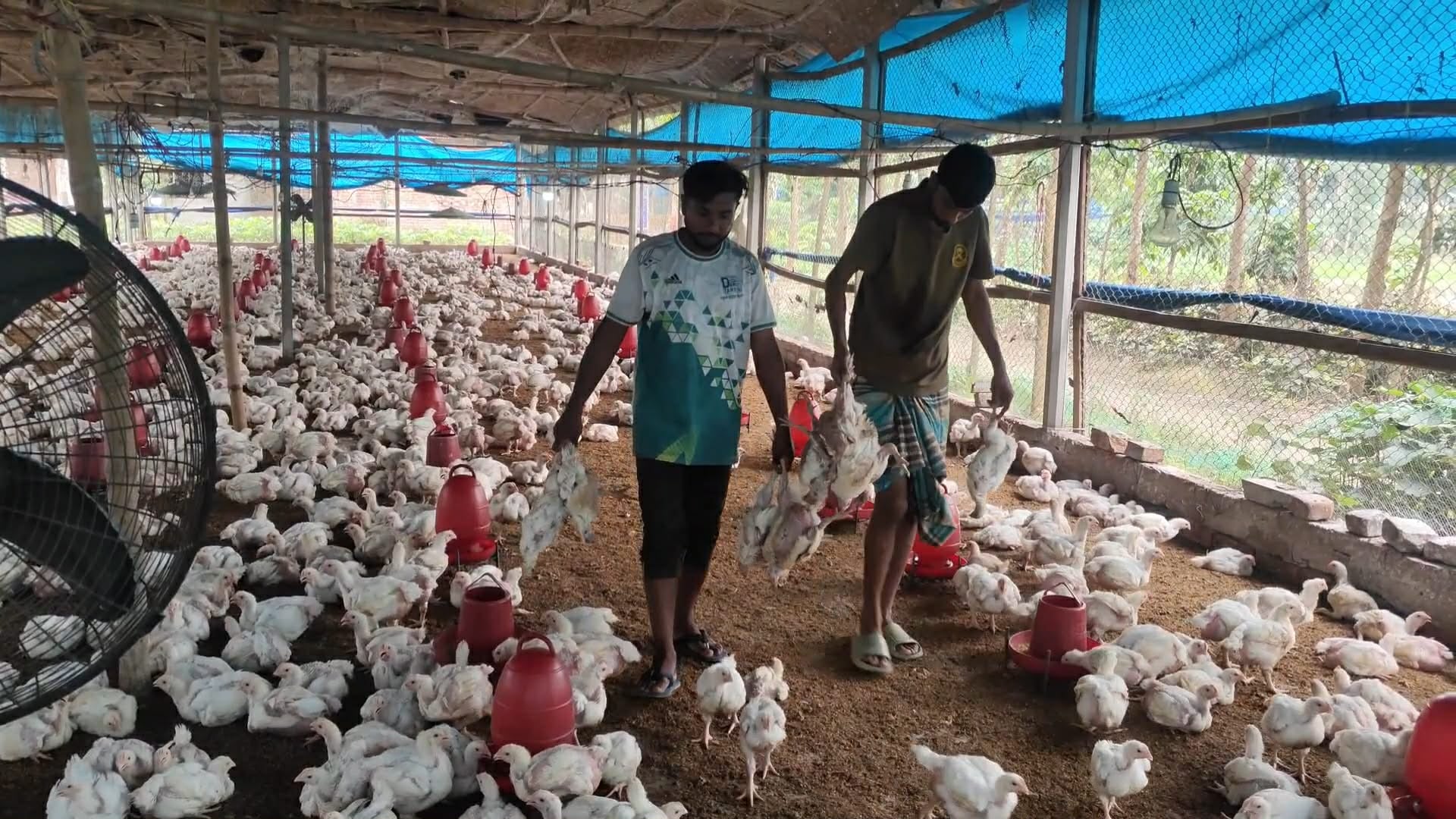 Nuclear Fusion Closer to Becoming a Reality6