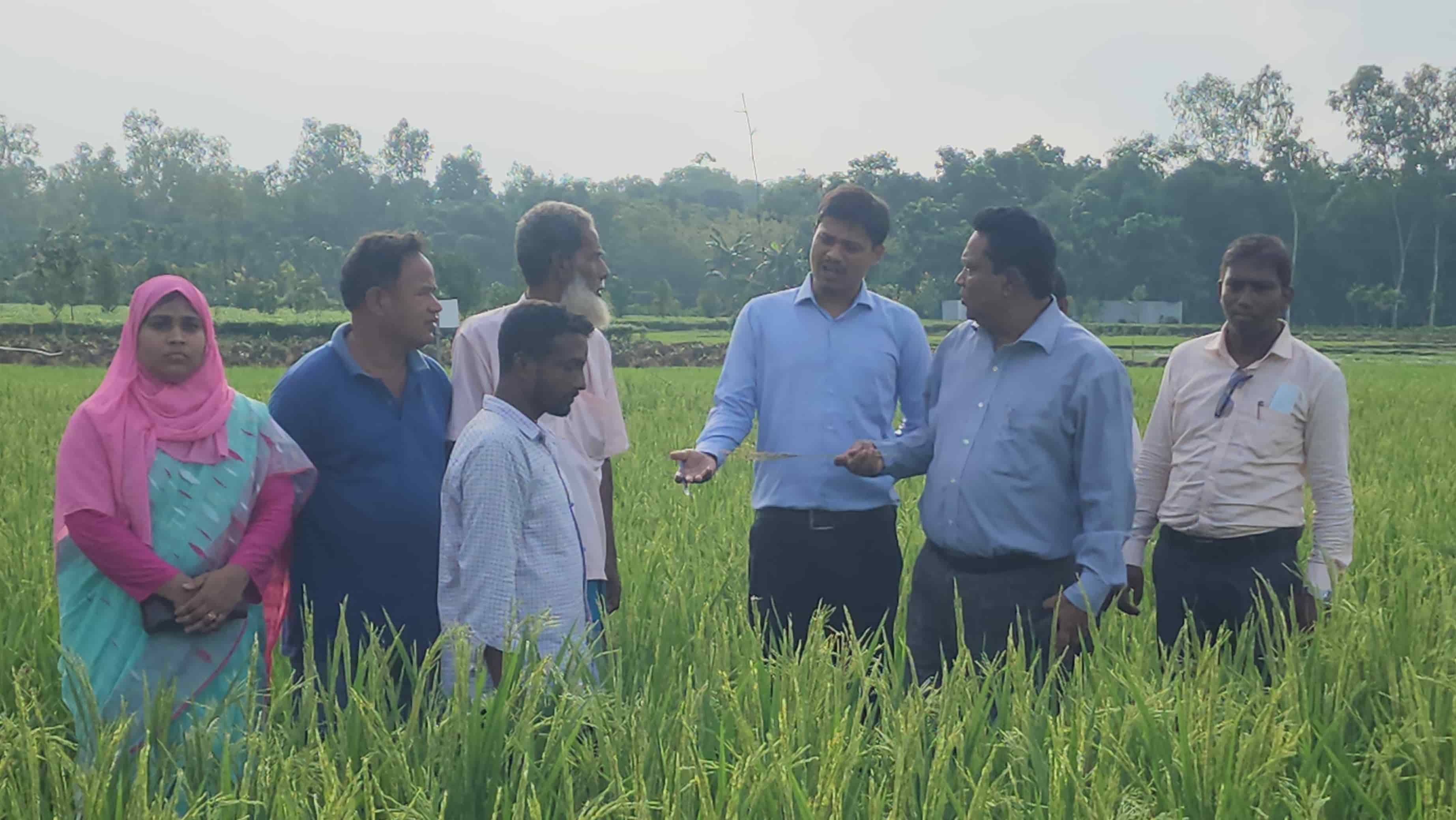 পঞ্চগড়ে কৃষি পুনর্বাসন ও প্রণোদনা কর্মসূচির মাঠ পরিদর্শনে কৃষি মন্ত্রণালয়ের উপসচিব