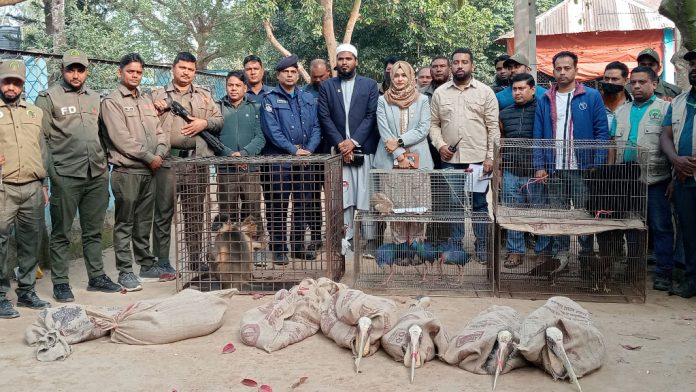 দিনাজপুরের স্বপ্নপুরীতে বন বিভাগের অভিযান