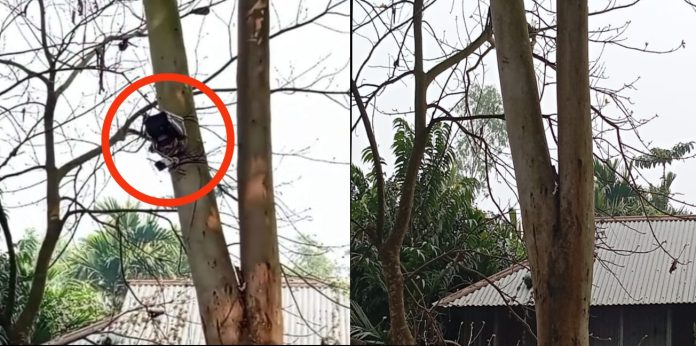 বিজিবি’র কড়া আপত্তিতে সিসি ক্যামেরা সরিয়ে নিল বিএসএফ