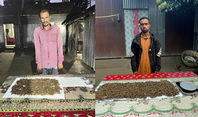 কুড়িগ্রামে যৌথবাহিনীর অভিযানে গাঁজা-ইয়াবাসহ আটক ২