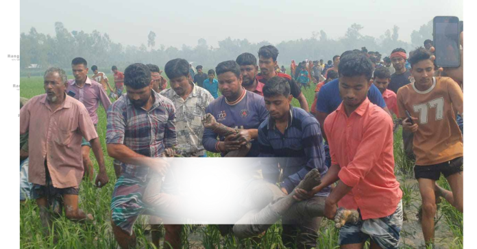নাগেশ্বরীতে অটো চালাক বেলাল হত্যার একজন গ্রেফতার