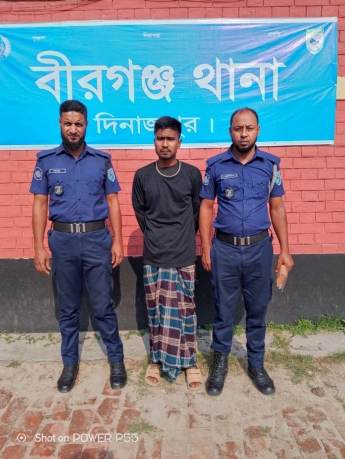 বীরগঞ্জে ট্যাপেন্টাডল সহ ১ মাদক ব্যবসায়ী গ্রেফতার