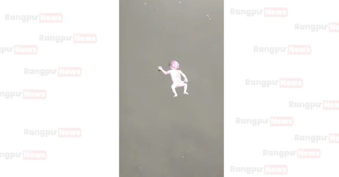ডোমারে মৎস্য হ্যাচারীতে ভাসছে নবজাতকের মরদেহ