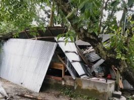 নীলফামারীতে কালবৈশাখীর তাণ্ডব: প্রাণে বেঁচে গেলেন অন্তঃসত্ত্বা নারী ও শিশু