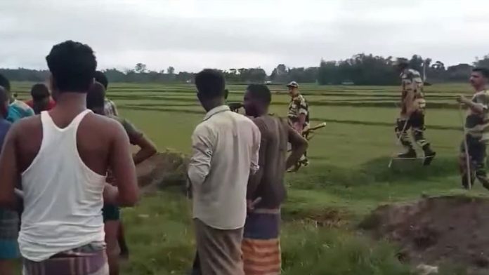 পাটগ্রাম সীমান্ত থেকে গরু নিয়ে গেল বিএসএফ, একজনকে পুশ ইনের চেষ্টা