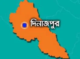বিরলে সাপের কামড়ে শিশুর মৃত্যু