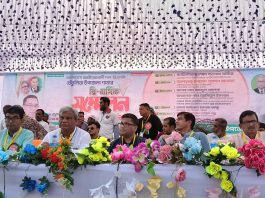 তেঁতুলিয়া উপজেলা বিএনপির সম্মেলন, সভাপতি রঞ্জু ও সম্পাদক রেজাউল