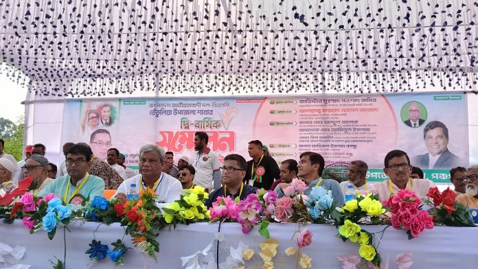 তেঁতুলিয়া উপজেলা বিএনপির সম্মেলন, সভাপতি রঞ্জু ও সম্পাদক রেজাউল