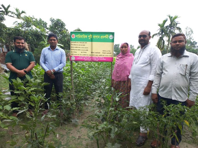 ভুরুঙ্গামারীতে পুষ্টিবাগান স্থাপন প্রকল্পে কৃষি অফিসারের বাগান পরিদর্শন