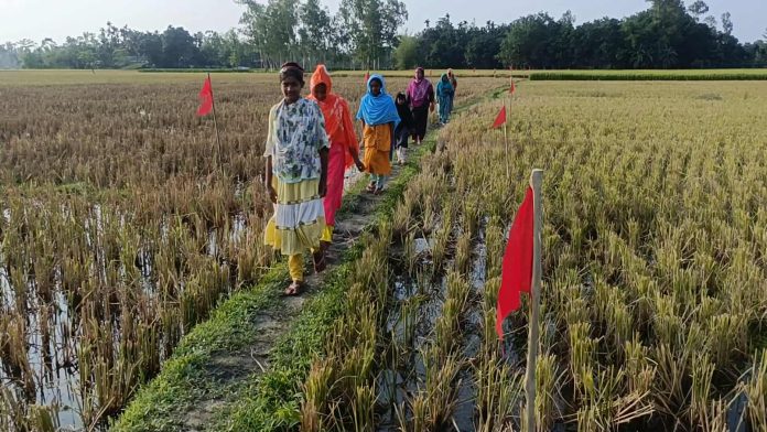 রাজারহাটে আওয়ামী লীগ নেতার দখলে থাকা সড়ক উদ্ধার, জনমনে স্বস্তি