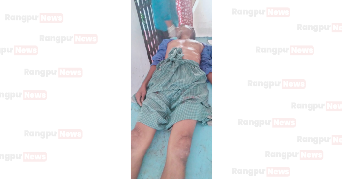 বীরগঞ্জে বাসের ধাক্কায় অটো চালক নিহত