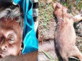 উলিপুরে নিজের দেওয়া ফাঁদে নিজেই নিহত