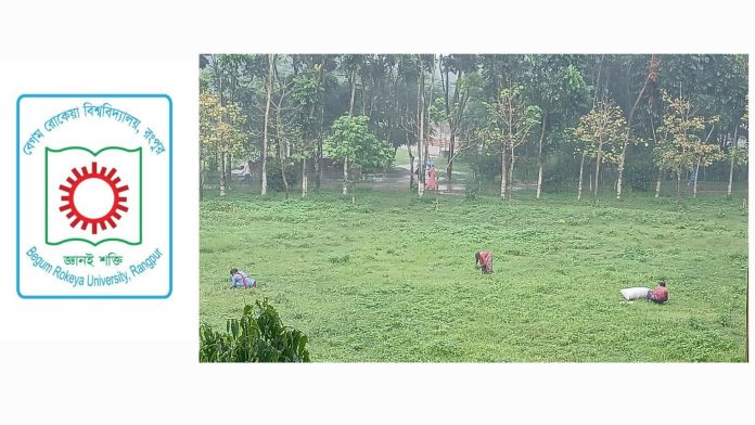সংগ্রামী মায়ের গল্প: বৃষ্টির মধ্যেও চলমান এক জীবনযুদ্ধ