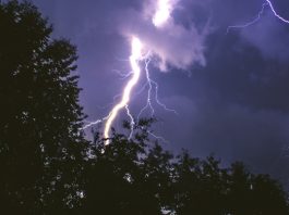 আম কুড়াতে গিয়ে বজ্রপাতে যুবকের মৃত্যু