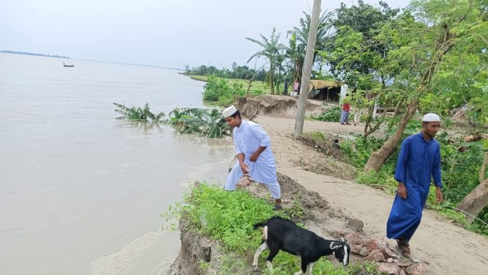 চিলমারীতে নদী ভাঙনে ভিটেহারা ৫০ পরিবার