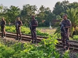 পশুর চামড়া পাচার ঠেকাতে সীমান্তে নজরদারি বাড়িয়েছে বিজিবি