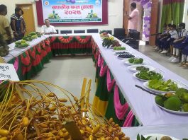 হিলিতে ৩ দিন ব্যাপী জাতীয় ফল মেলার উদ্বোধন