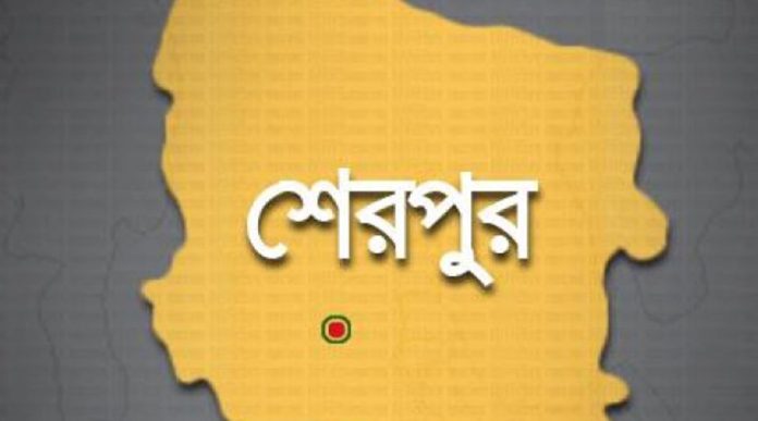 শেরপুরে ট্রাকের ধাক্কায় প্রাণ গেল ৩ জনের