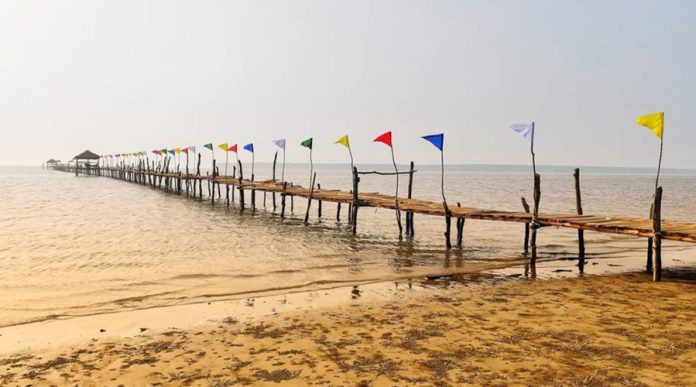 বিএনপি ক্ষমতায় এলে নিঝুম দ্বীপ হবে মালদ্বীপ : শামীম