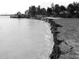 গাইবান্ধায় তিস্তা, ব্রহ্মপুত্র-যমুনার ভাঙনে বিলীন ১৫টি গ্রাম, বাস্তুহারা প্রায় ২০ হাজার মানুষ