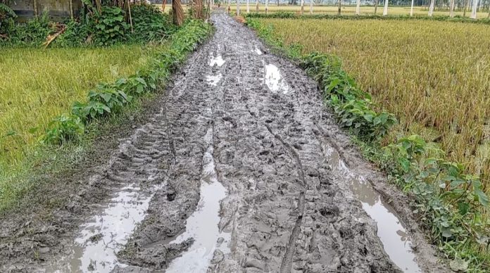 ভূরুঙ্গামারীতে রাস্তার বেহাল দশা, দুর্ভোগ চরমে