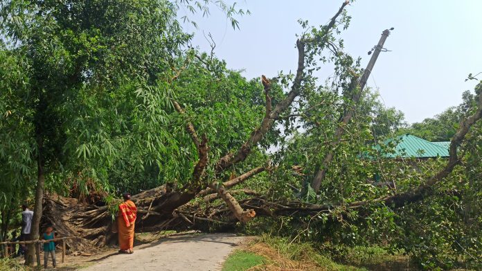 পঞ্চগড়ে আকস্মিক ঝড়ে ব্যাপক ক্ষয়ক্ষতি: বিদ্যুৎ ও ইন্টারনেট সংযোগ বিচ্ছিন্ন