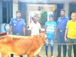 ঘোড়াঘাটে ট্রাক চালকের বুদ্ধিমত্তায় ধরা পড়ল দুই চোর