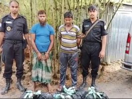 দিনাজপুরে ৩৯৭ বোতল ফেনসিডিলসহ ২ জন গ্রেফতার