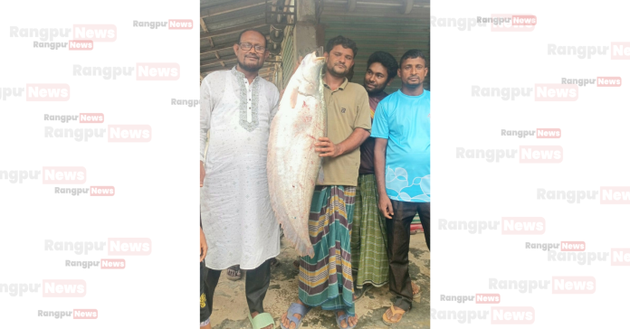 ফুলবাড়ীতে বঁড়শিতে ধরা পড়ল ৯ কেজির চিতল