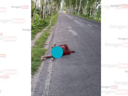 তারাগঞ্জে সড়ক দুর্ঘটনায় অজ্ঞাত বৃদ্ধার মৃত্যু