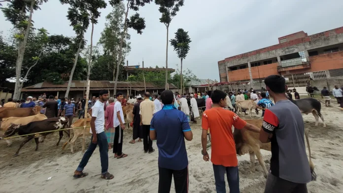 স্কুলমাঠে হাট বসানো সেই বিএনপি নেত্রীকে সেনাবাহিনীর তলব