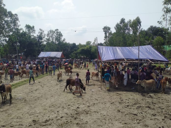 জমে উঠেছে নীলফামারীর ঐতিহ্যবাহী ভবানীগঞ্জ হাট
