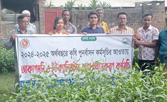 কাহারোলে পরিবেশবিরোধী ইউক্যালিপটাস ও আকাশমনি গাছের চারা ধ্বংস