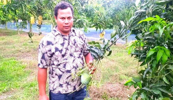 গ্যাপ পদ্ধতিতে আম চাষ করে বিদেশে রফতানি করছেন হাকিমপুরের কৃষক নিরঞ্জন রায়
