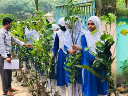 হিলিতে কৃষি প্রণোদনা ও পুর্নবাসন কর্মসূচির আওতায় শিক্ষার্থীদের মাঝে ফলজ ও ওষুধি গাছের চারা বিতরণ