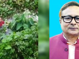 ছাত্র-জনতার ভয়ে ডোবায় ঝাঁপ দিলেন সাবেক মেয়র