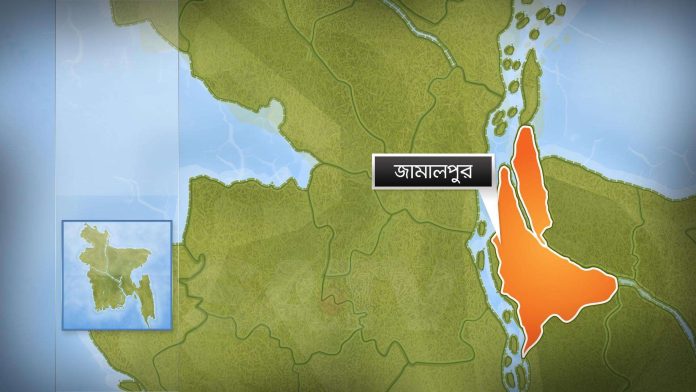 জামালপুর সীমান্তে ৭ জনকে বিএসএফের পুশ-ইন