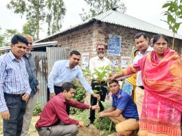 জলবায়ু পরিবর্তন মোকাবিলায় খানসামায় বৃক্ষরোপণ অভিযান, এক দিনে ৪২ হাজার গাছ রোপণ