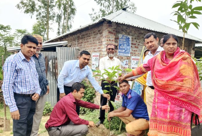 জলবায়ু পরিবর্তন মোকাবিলায় খানসামায় বৃক্ষরোপণ অভিযান, এক দিনে ৪২ হাজার গাছ রোপণ