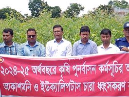 বোচাগঞ্জে ইউক্যালিপটাস ও আকাশমনি গাছের চারা ধ্বংসে প্রশাসনের অভিযান