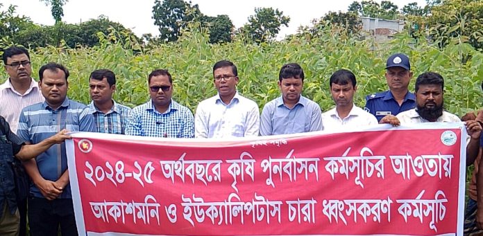 বোচাগঞ্জে ইউক্যালিপটাস ও আকাশমনি গাছের চারা ধ্বংসে প্রশাসনের অভিযান