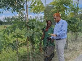 বনায়নের ছোঁয়ায় বদলে যাচ্ছে থানাঘাট-সাহেবগঞ্জ সড়ক